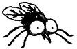 gadfly